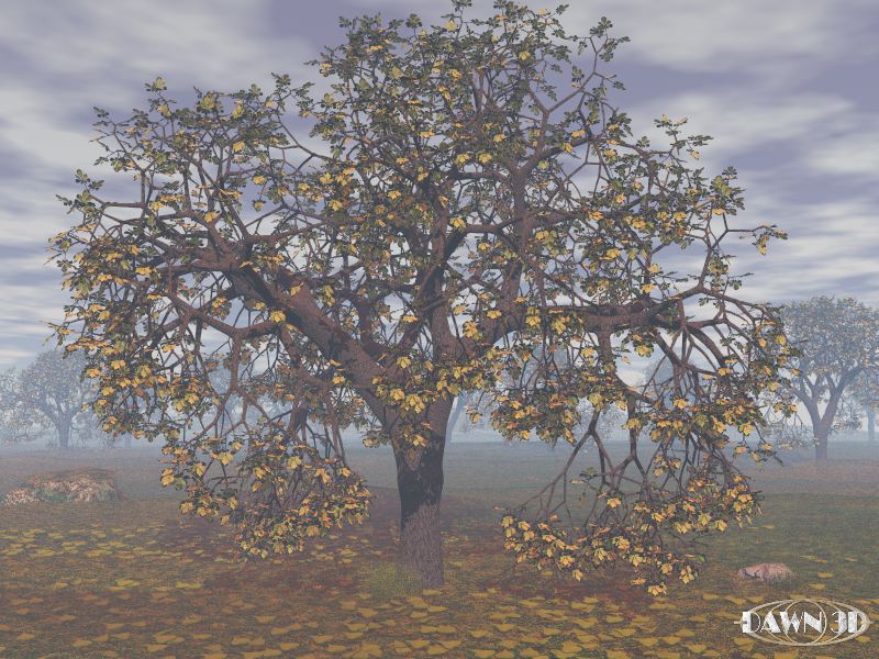 Herbst