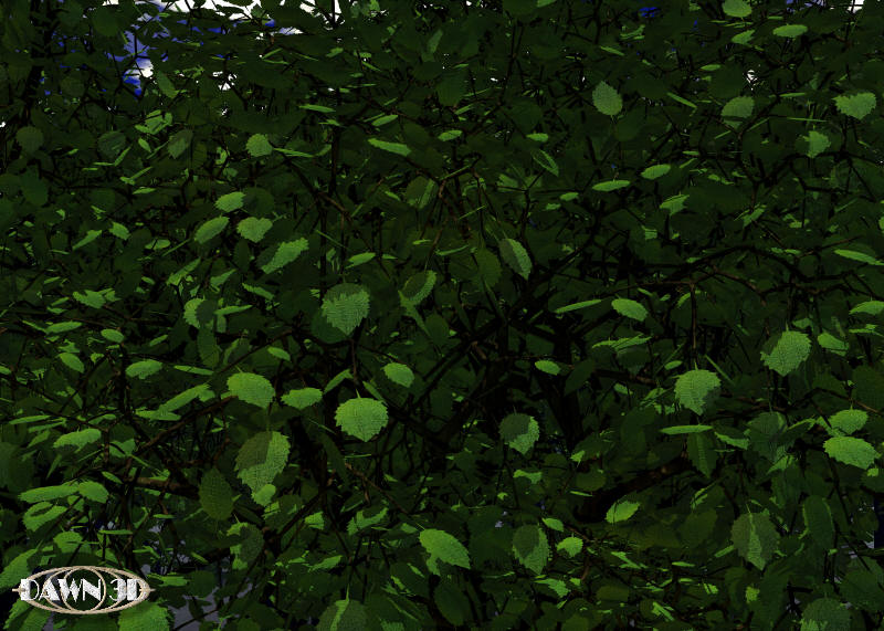 Natur Pur 1