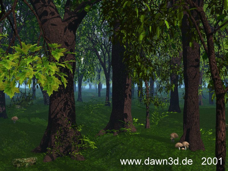 Wald