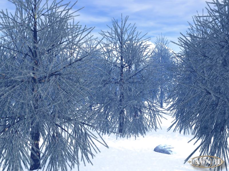 Winterwald